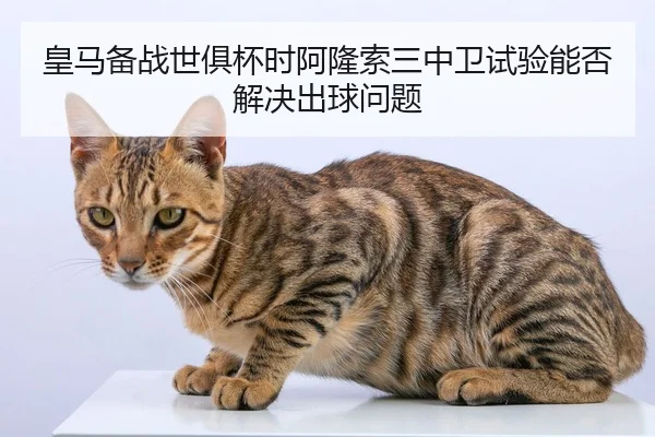 皇马备战世俱杯时阿隆索三中卫试验能否解决出球问题