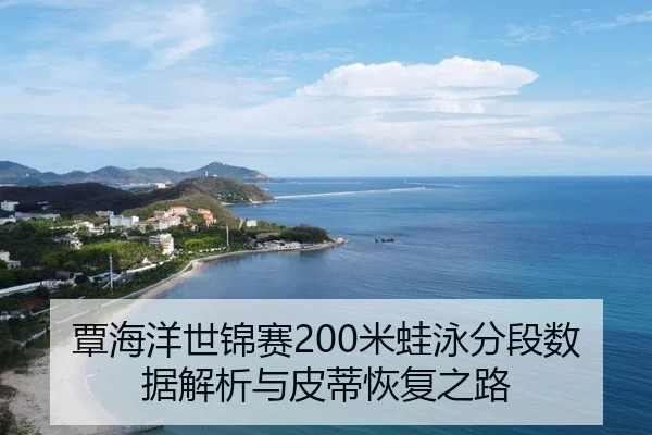 tan-hai-yang-shi-jin-sai-mi-wa-yong-fen-duan-shu-ju-jie-xi-yu-pi-di-hui-fu-zhi-lu-3-602.jpg